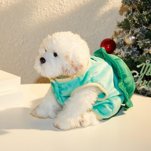 Simulación Tortuga Mascotas Trajes Accesorios Accesorios S