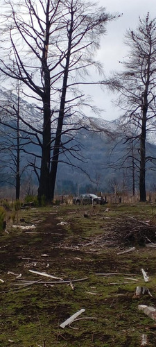 Chacra En Las Golondrinas - Chubut