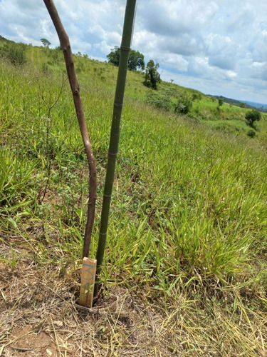 Imagem 5 de 15 de 02-terreno Localizado Em Cotia Com Preço