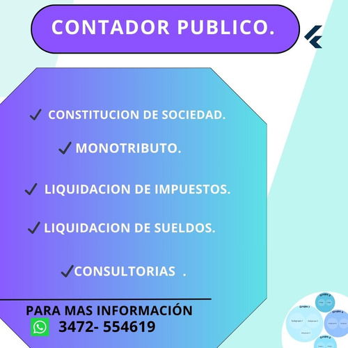 Contador Publico