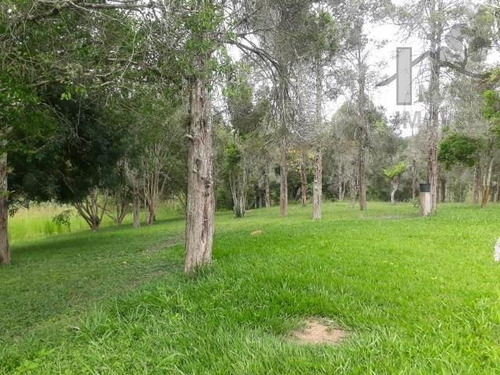 Cod 4297 - Excelente Sitio Com 6 Alqueires - 4297