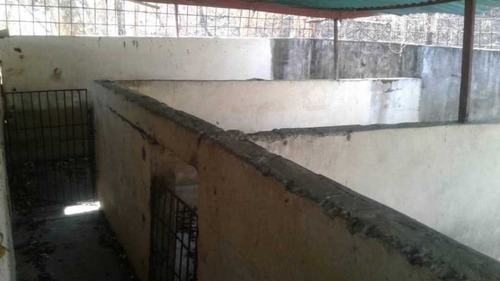 Imagen 6 de 14 de Finca Productiva Para Cria De Porcinos En Parapara De Ortiz