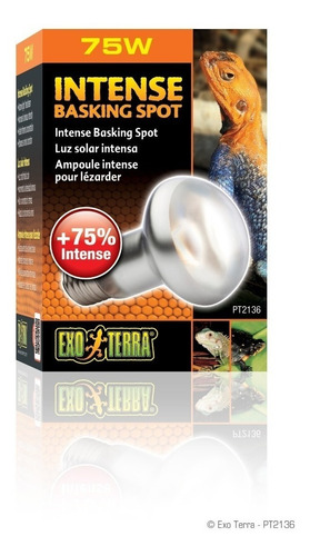 Imagen 2 de 5 de Foco Luz Para Reptiles Intensa Calor + Solar Exo Terra 75 W