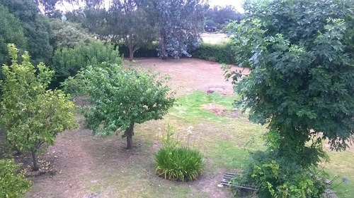 Imagen 25 de 30 de Magnifico Chalet 5 Amb.en Chapadmalal, Proximo Al Mar.