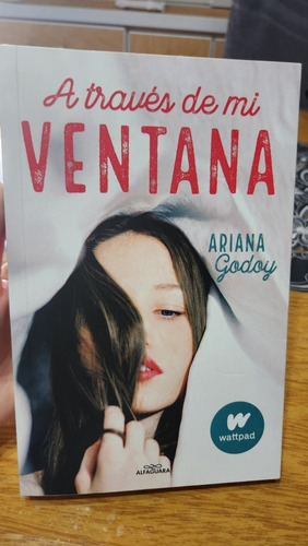 A Traves De Mi Ventana - Ariana Godoy . Libros Juveniles 