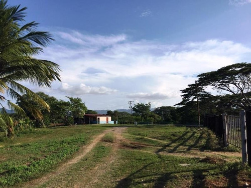Imagen 4 de 13 de Venta Para Inversion Finca Hacienda En Produccion