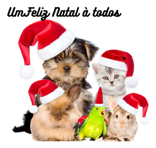 Roupa Roupinha P Pets Colete Natal Tam. P P Cachorro E Gatos