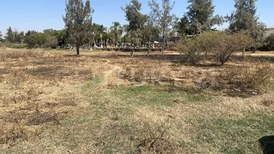 Terreno en renta