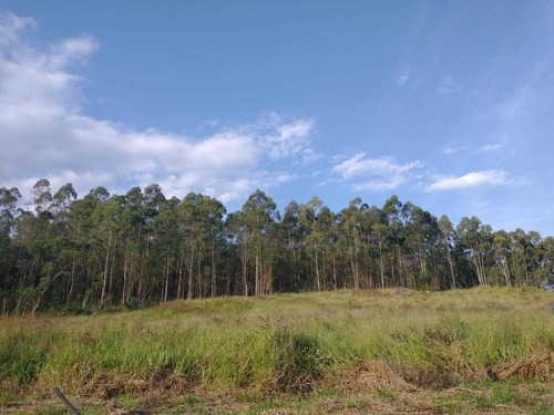 Imagem 6 de 7 de O Melhor Lugar, Sem Padrão Para Construção