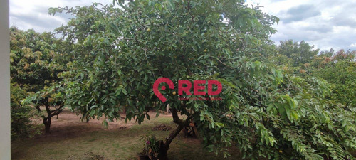 Imagem 21 de 27 de Chácara Com 3 Dormitórios À Venda, 2000 M² Por R$ 480.000,00 - Cruz Das Almas - Tietê/sp - Ch0112