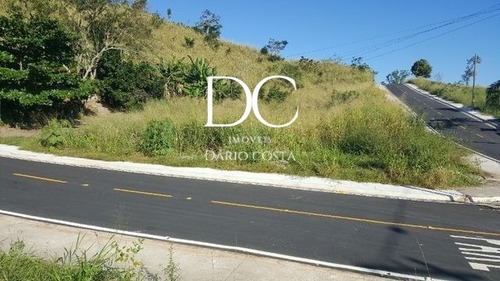 Imagem 12 de 16 de Terreno - Te00213 - 70549742