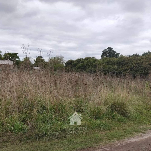 Imagen 3 de 4 de Venta Lote En Tandil-oportunidad
