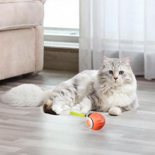 Pelota De Juguete Interactiva Para Gato, Pelota Naranja