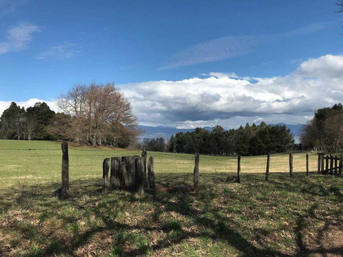 Pucón, Ribera Norte Lago Villarrica Parcelas En Venta