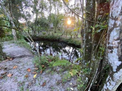 Imagem 4 de 14 de Vendo Chácara Com Rio Ao Lado Em Itanhaém Litoral Sul De Sp