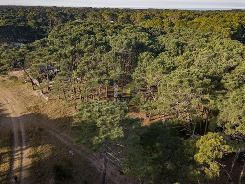 Imagen 11 de 11 de Nuevas Condiciones !! Lote En Venta - Alamos Ii Pinamar