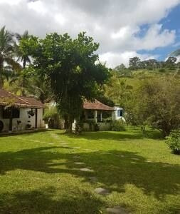 Fazenda À Venda Na Estrada Rj-135, Abarracamento, Rio Das Flores - Rj - Liv-7416