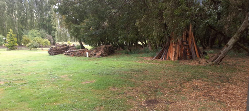 Imagen 4 de 16 de Venta De Excelente Cabaa Sobre Chacra De 1 Ha - El Hoyo