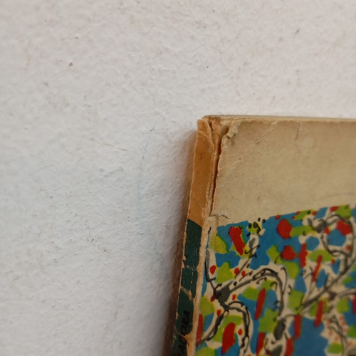 La Hoja Voladora. José Pedroni. Eudeba (Usado)