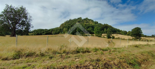 Sitio - 5.000 M2 Cada Uno - Cascadas - Puerto Octay