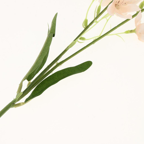 Ramo De Flores De Orquídea De Seda Para Fiestas De Boda, Man