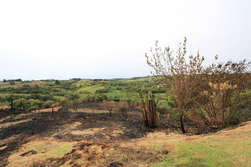 Imagem 24 de 25 de Chácara À Venda, 20000 M² Por R$ 1.500.000,00 - Zona Rural - Araçoiaba Da Serra/sp - Ch0135