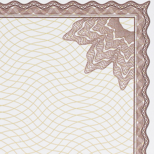 Papel De Certificado De Honra, 10 Unidades