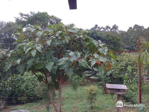 Chácara Com 2 Dormitórios À Venda, 1600 M² Por R$ 350.000,00 - Colinas - Poços De Caldas/mg - Ch0100