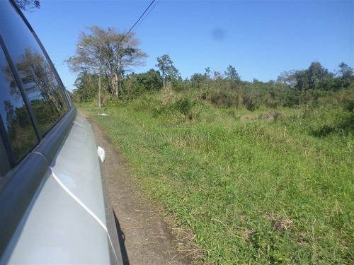 Imagem 6 de 6 de Terreno - Venda - Tropical - Itanhaém - Ita3156
