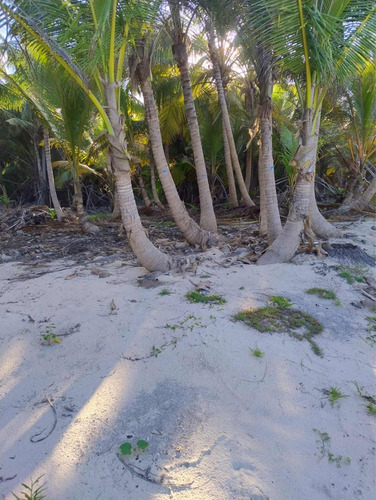 Vendo Terreno En Bavaro 1,142,348 Mt2. Con 600 Mt2. De Playa