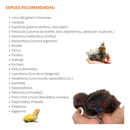 1 Kg Papilla Macao Para Loros Con Jeringa Para Empapillar .