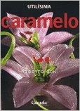 Caramelo - Roberto Goni