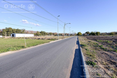 Imagen 6 de 20 de Lote En Venta En Hudson - Sin Expensas Solares Del Parque Ii Loteo Abierto