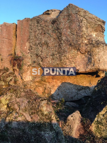 Imagen 7 de 13 de Chacras En Ruta 39 Próximas A Aigua.