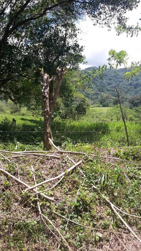 Imagen 5 de 14 de Terreno Nirgua Yaracuay 51 Hectáreas De Terreno