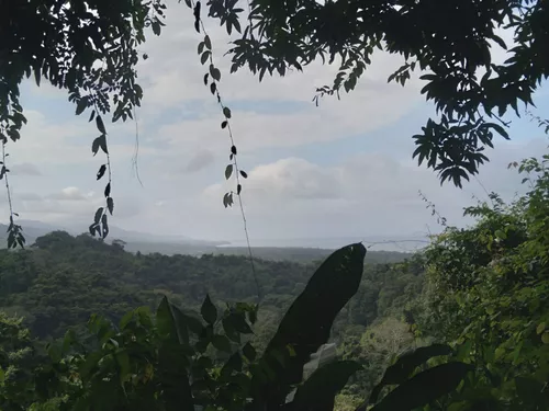 Venta De Predio De 27 Hectáreas En Quebrada Valencia, Guachaca, Santa Marta, Magdalena, Troncal Del Caribe.