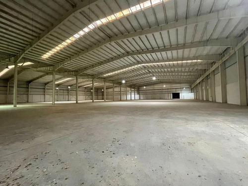 Imagen 29 de 30 de Fracción Industrial 26 Ha. Galpón 12.800 M² Cub. - Carlos Spegazzini