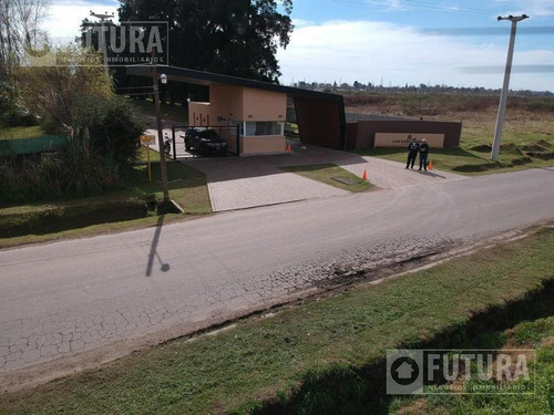 Imagen 17 de 28 de Terreno En Venta En Ibarlucea - Barrio Las Casuarinas Lote 38