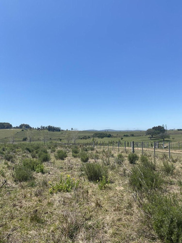 Imagen 17 de 17 de Chacra - Pueblo Edén