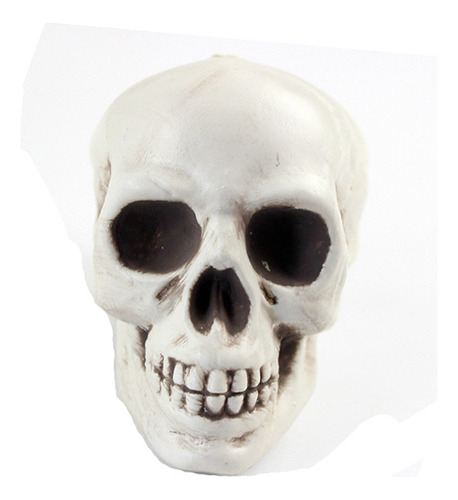Plástico Cabeza De Esqueleto Estatuilla Esqueleto Modelo