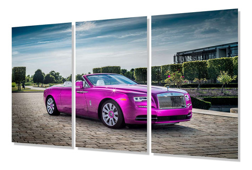 Cuadro Trip 60x90 Auto Coche Morado Exhibicion Coleccion