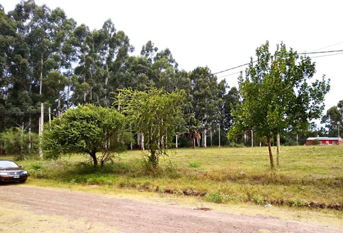 Imagen 6 de 12 de Oportunidad !!! Terreno Lote Para Casa Cabañas Colón E Rios