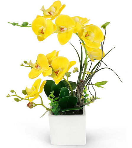 Phalaenopsis - Flores Artificiales De Orquídea De Seda Con M