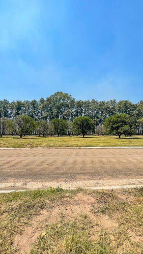 Venta! Terreno De 887 M2 En Azahares Del Paraná.