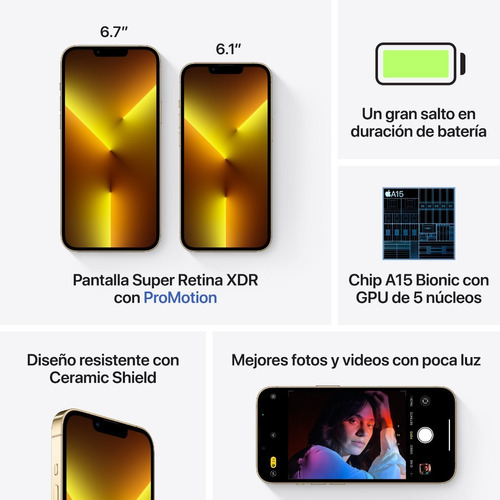 Apple iPhone 13 Pro Max (256 GB) - Oro