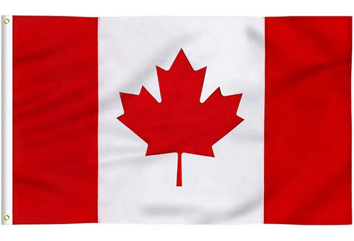 Bandera Canada Maple 1.5m X 90cm Interior Exterior Asta 