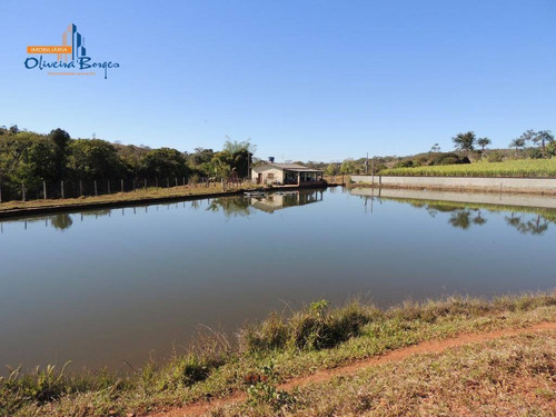 Chácara Com 2 Dormitórios À Venda, 41000 M² Por R$ 600.000,00 - Zona Rural - Corumbá De Goiás/go - Ch0074