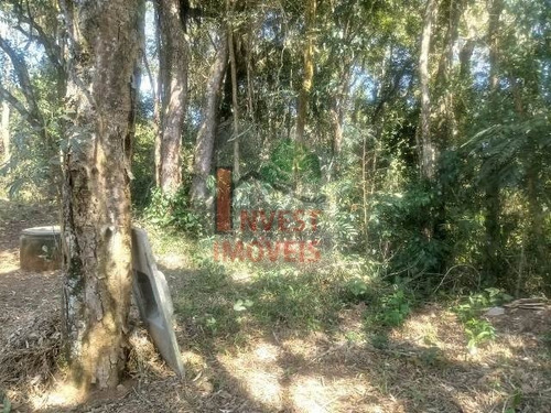 Imagem 12 de 15 de Chacara - Ref: 4836 - V-4836