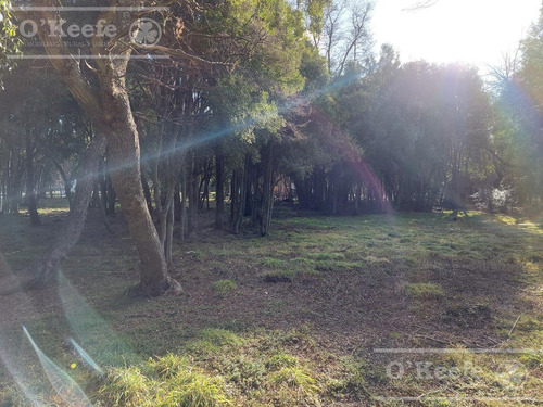 Imagen 4 de 9 de Excelente Terreno A La Venta En Barrio Cerrado Bariloche