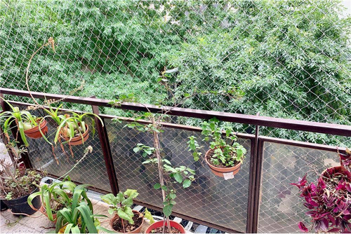 Imagen 15 de 25 de Departamento 4 Ambientes Almagro Luminoso Balcones
